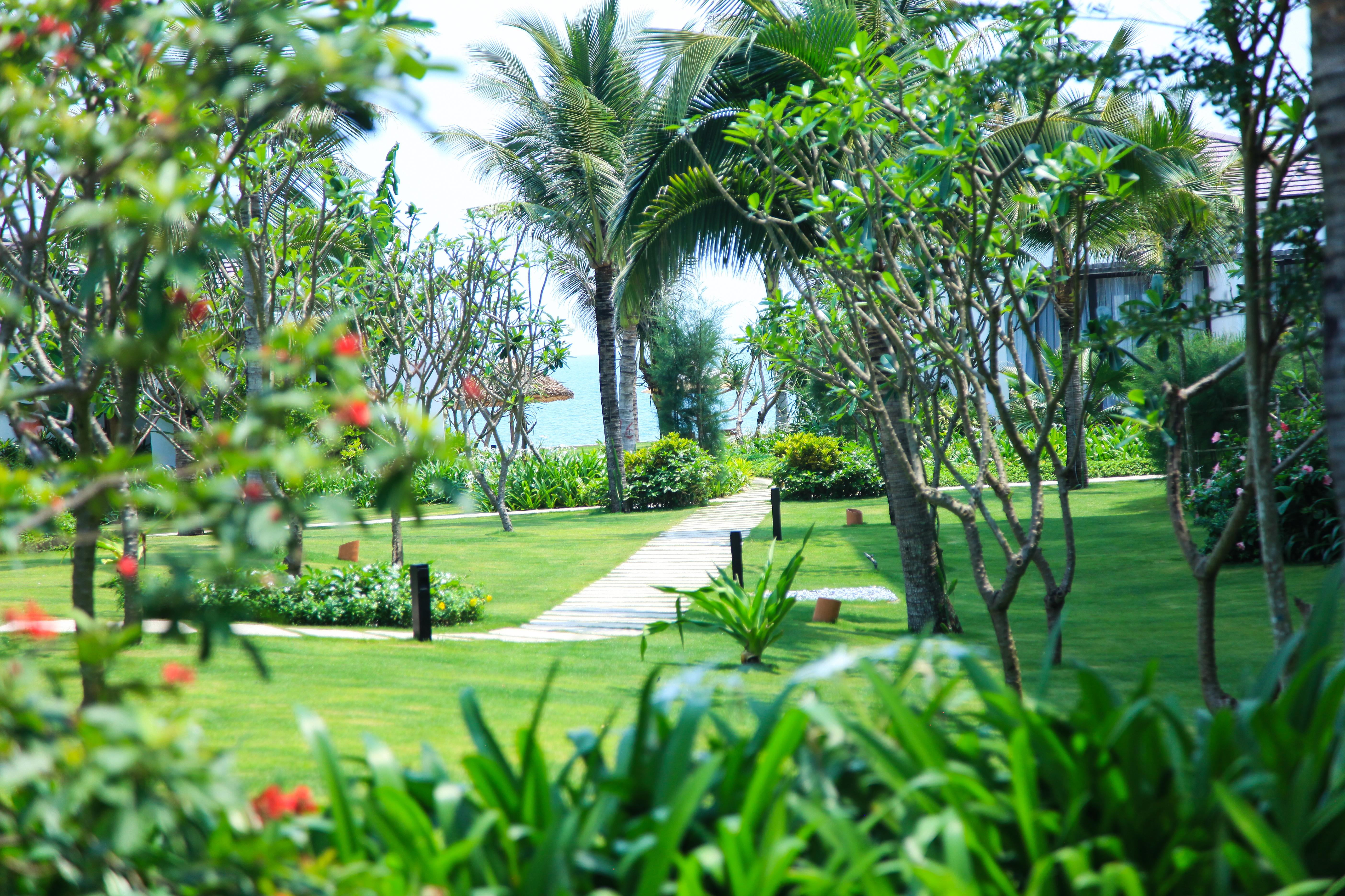 Sunrise Premium Resort & Spa Hội An Kültér fotó